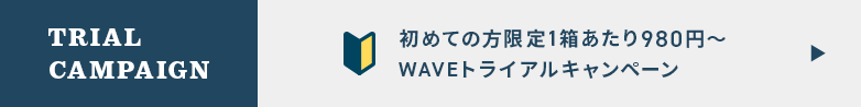 WAVE初めてのお客様は1箱980円～お試し出来るキャンペーンがオススメ！