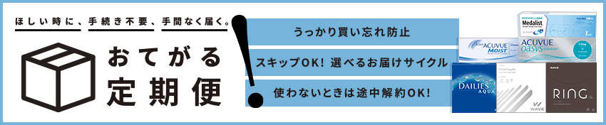 お手軽定期便